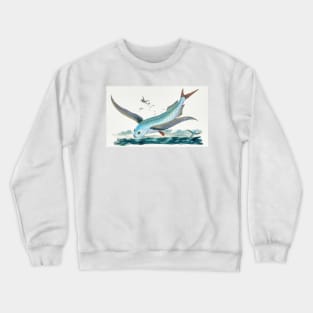 Flying Fish Crewneck Sweatshirt